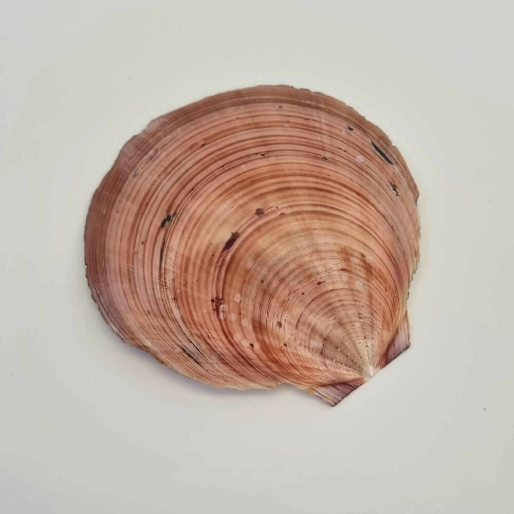 429122072_774584577903290_1038103821987703781_n