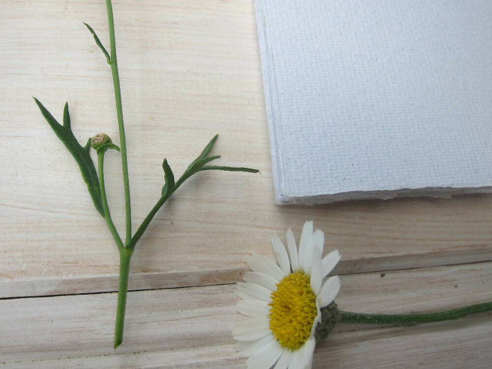 16 White Handmade Recycled paper sheets / Note Paper