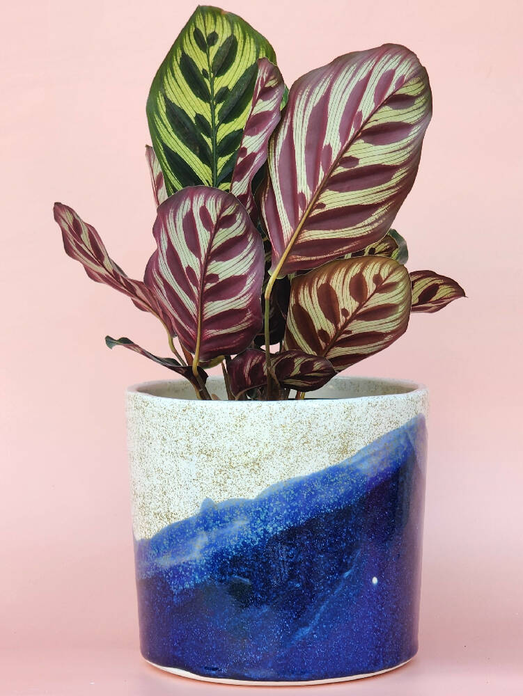 Handmade Ceramic Cover Pot - Speckled Sapphire Glaze