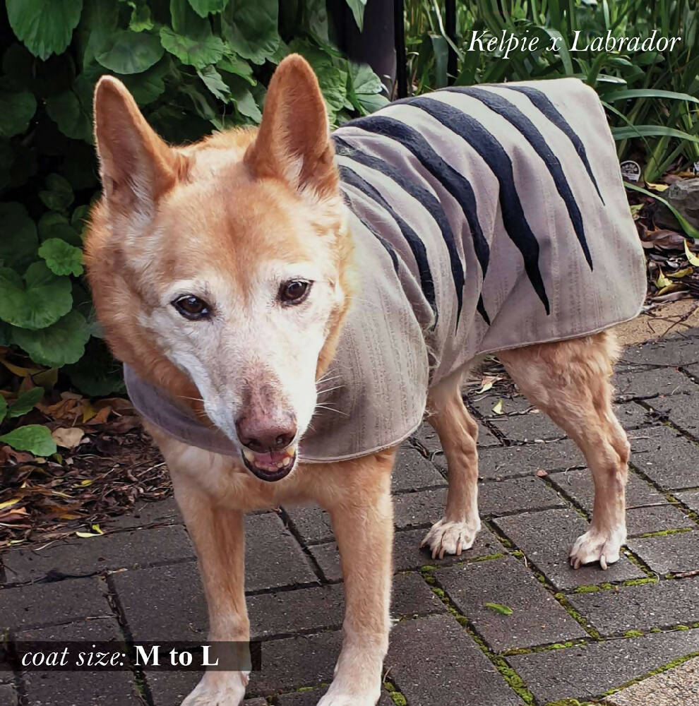 nutty dog brown_model_medium to large_low res