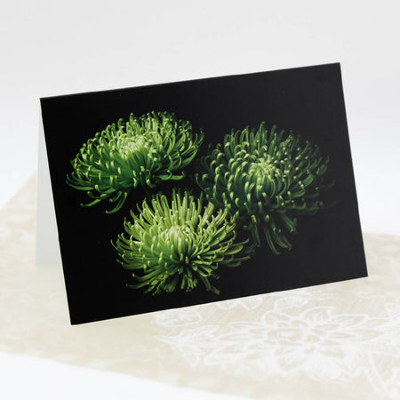 Mother's Day Chrysanthemum Fine Art Greeting Card - I Belong in Chrysanthemum Time