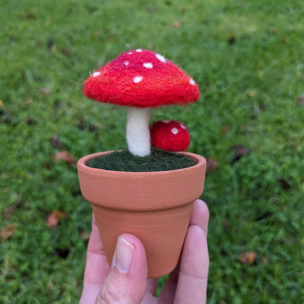 Needle Felted Toadstool in Pot