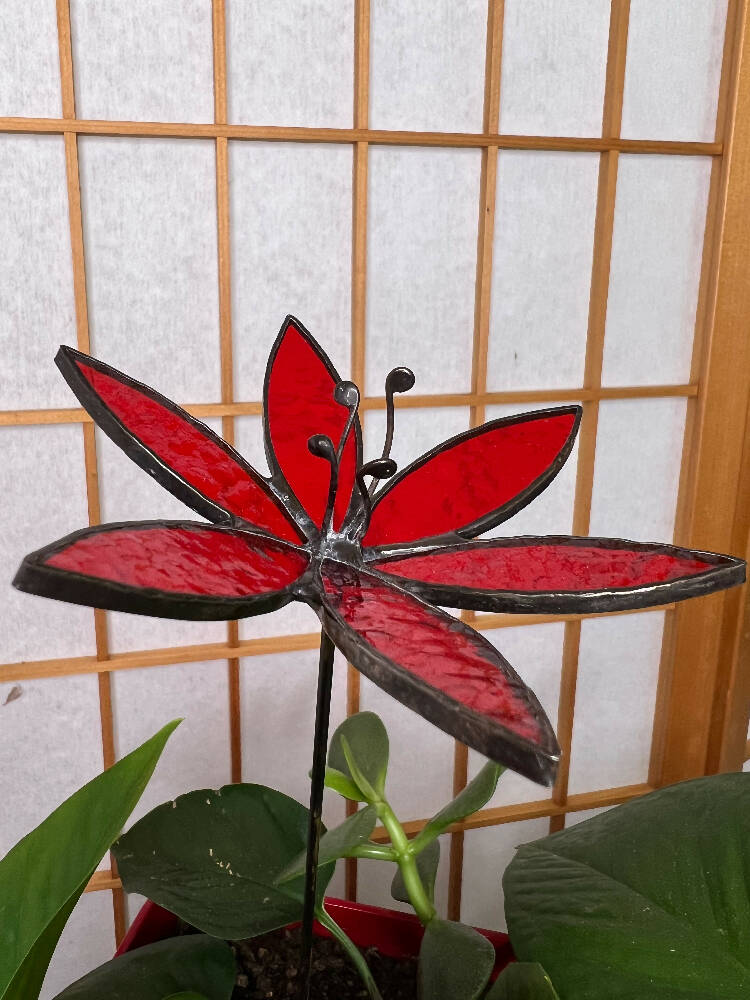 Glass Lily Flower