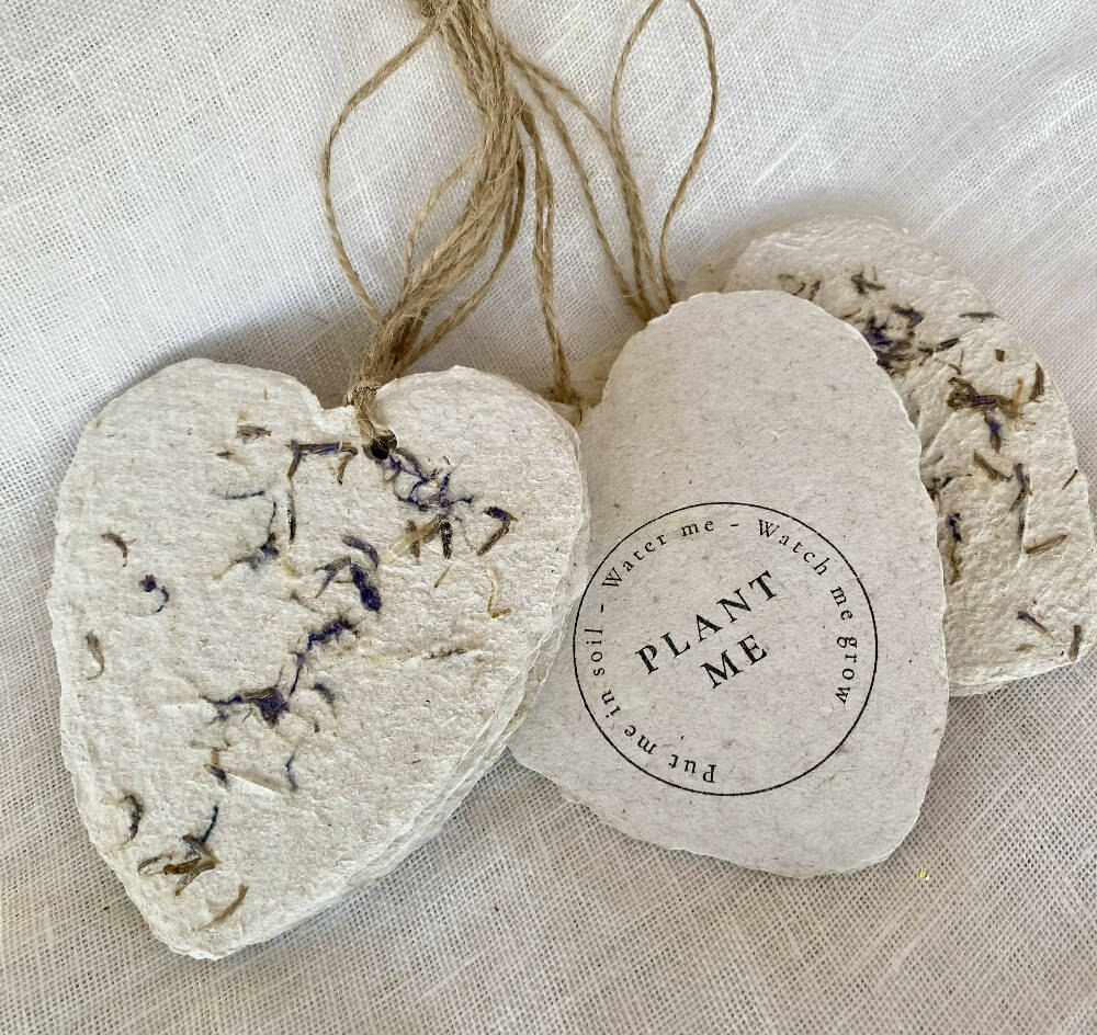 Plantable heart shaped gift tags x 6 bundle