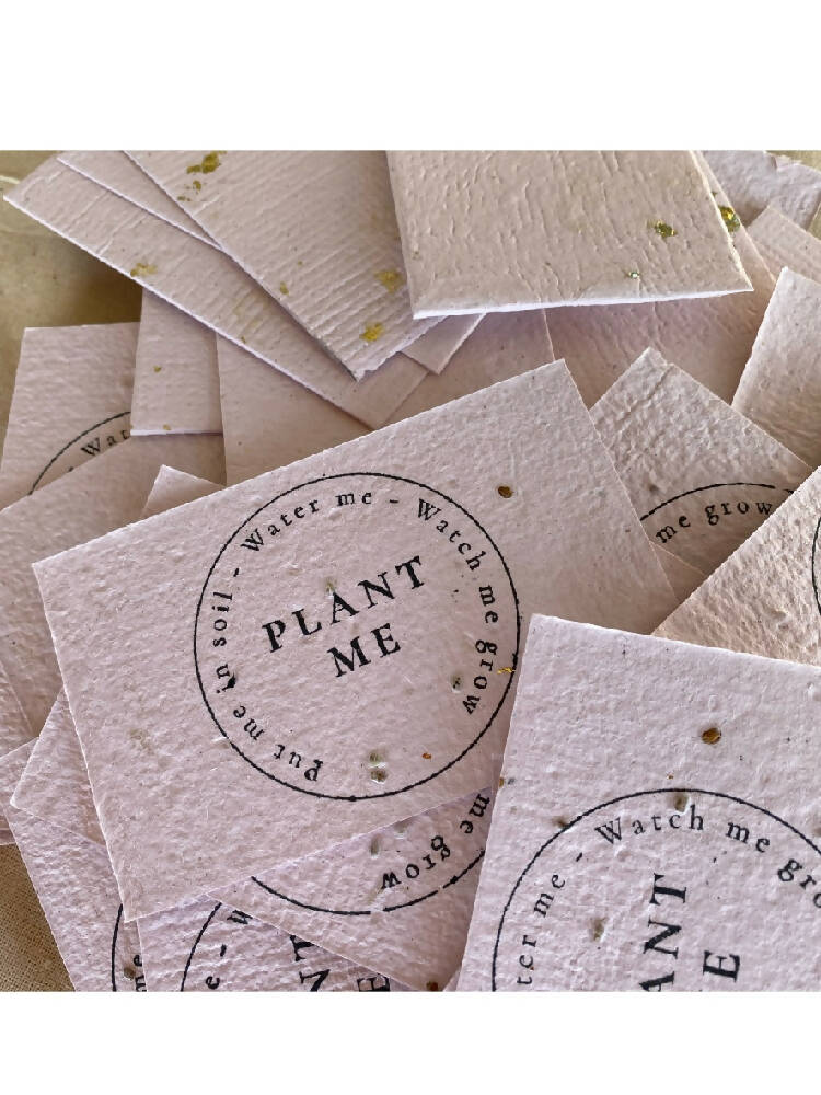 F06DE60A-F7CF-456D-84D8-69704B9DA383