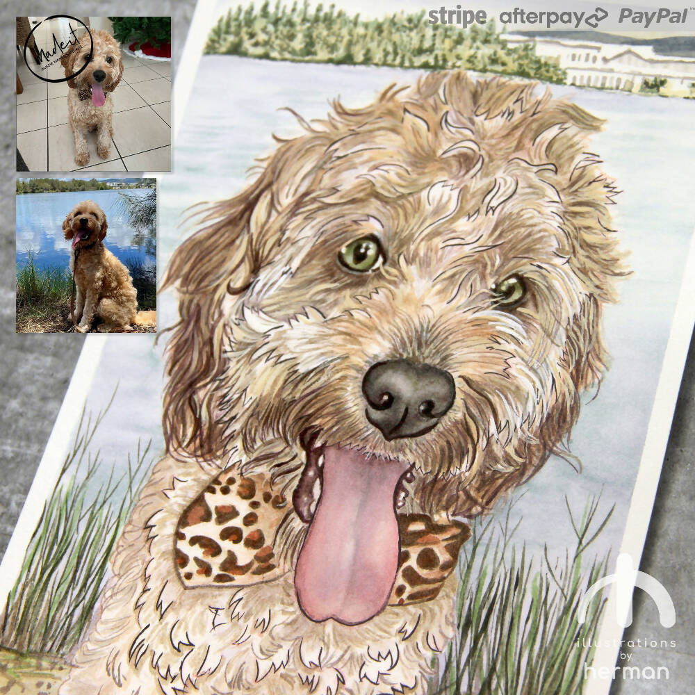 Custom Portrait | Line & Wash | Watercolour | Pet Portrait