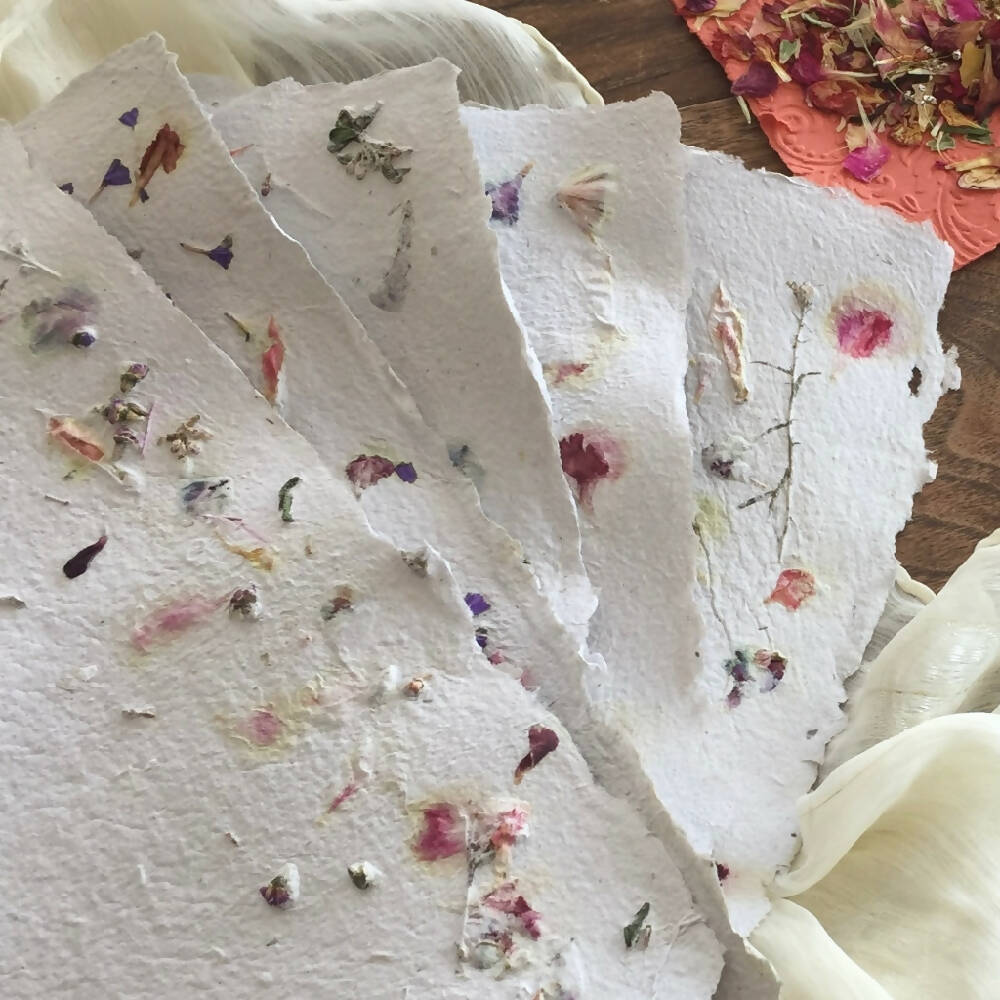 5EFE1E74-26B3-4121-9670-A5C05BB576F2