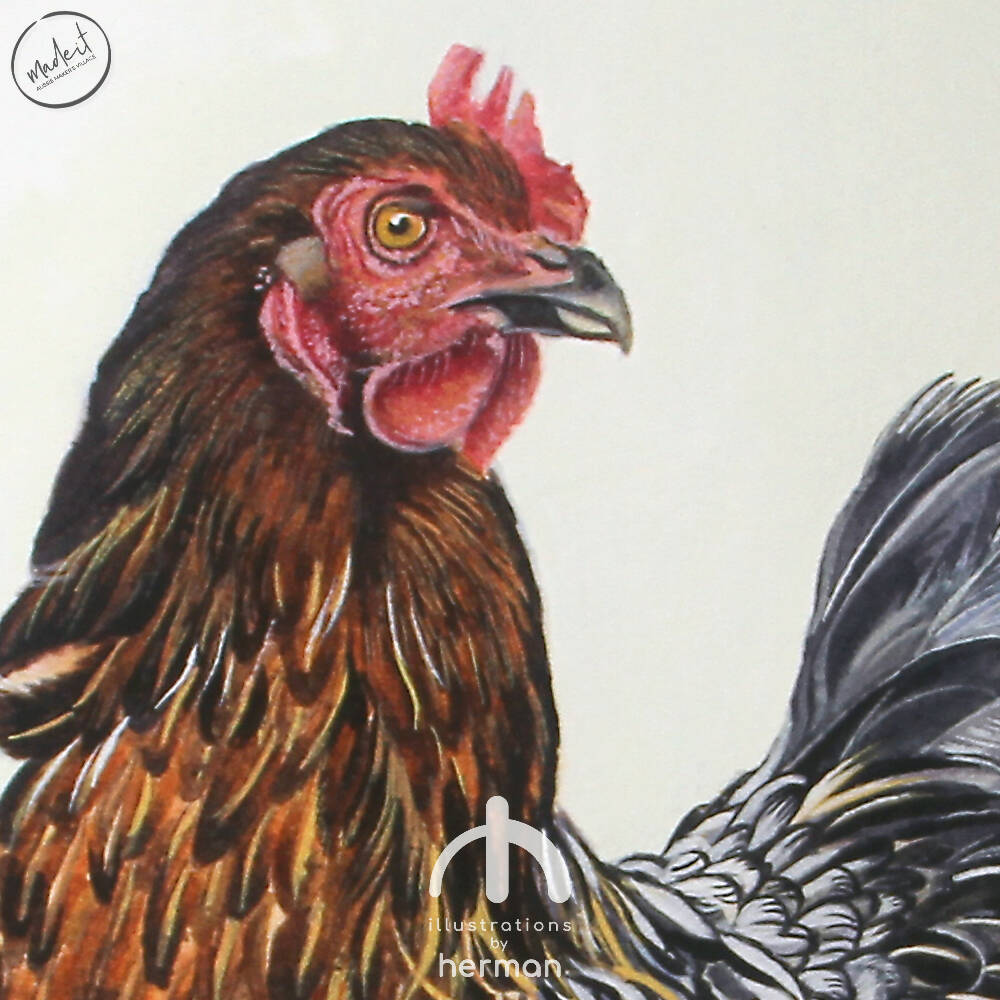 WATERCOLOUR | Chicken Portrait