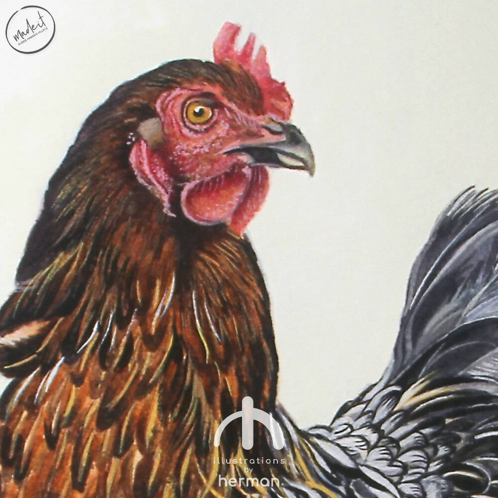 Wall Art | Watercolour Painting | Chicken Portrait