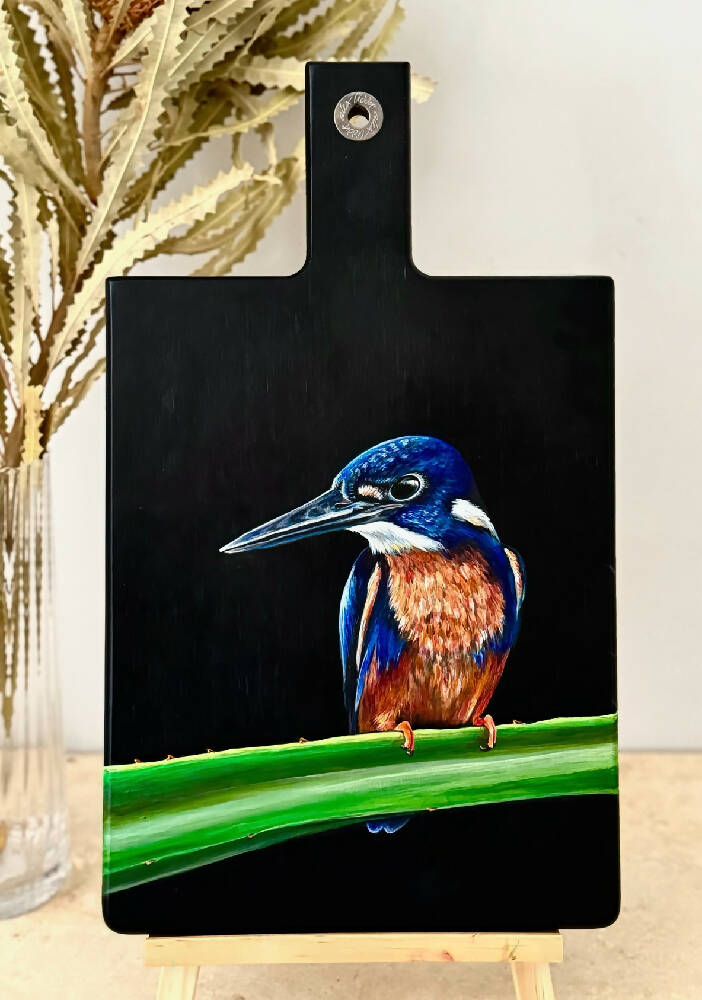 Azure Kingfisher on Black Wood Board