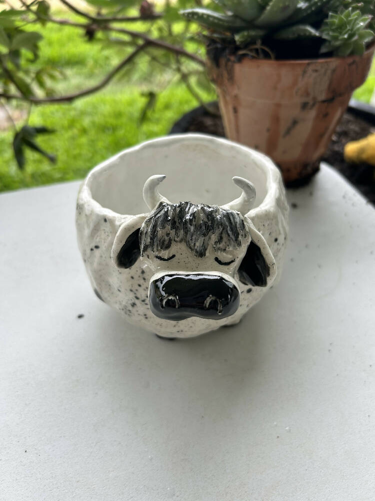 Cow Planter - Second