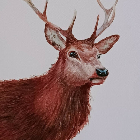 Majestic Stag- original watercolour painting