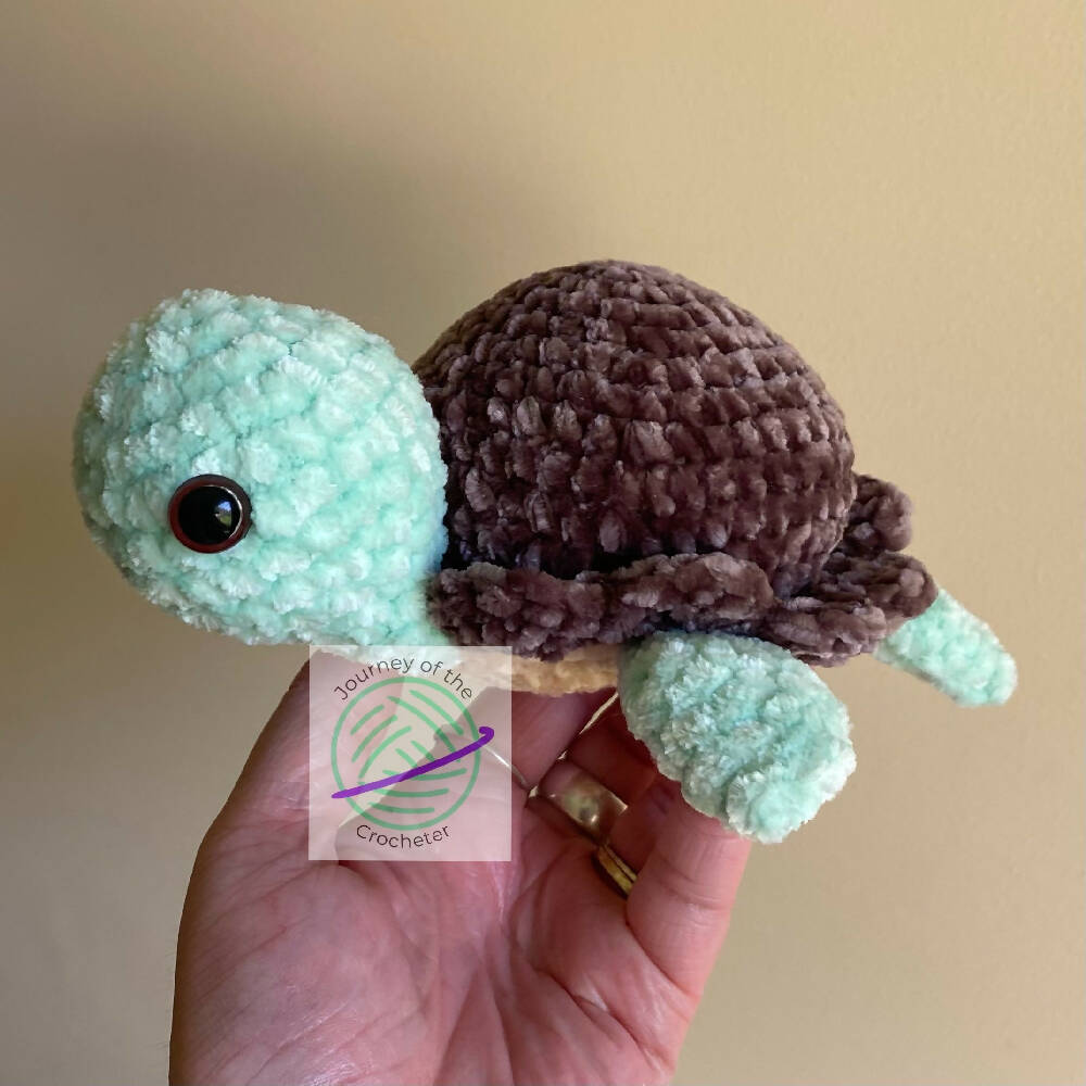 Chocolate Ice Cream Turtle