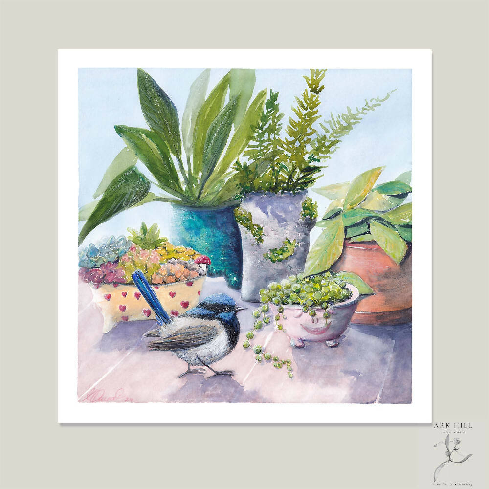 Superb Blue Wren and Pot Plants Giclee  Art Print - Created and printed at Ark Hill Studio