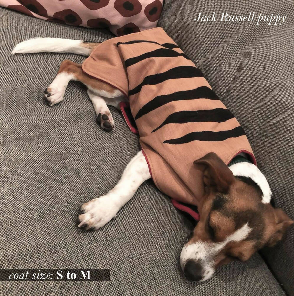 cute dog copper_model_s to m_low res