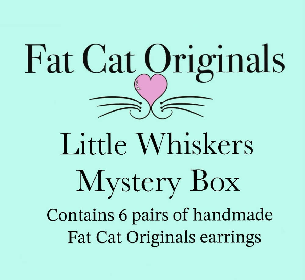 Earring Mystery Boxes