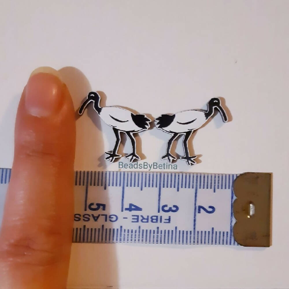 Bin Chicken (Ibis) Studs // HypoAllergenic // FREE POSTAGE // Laser Cut Acrylic