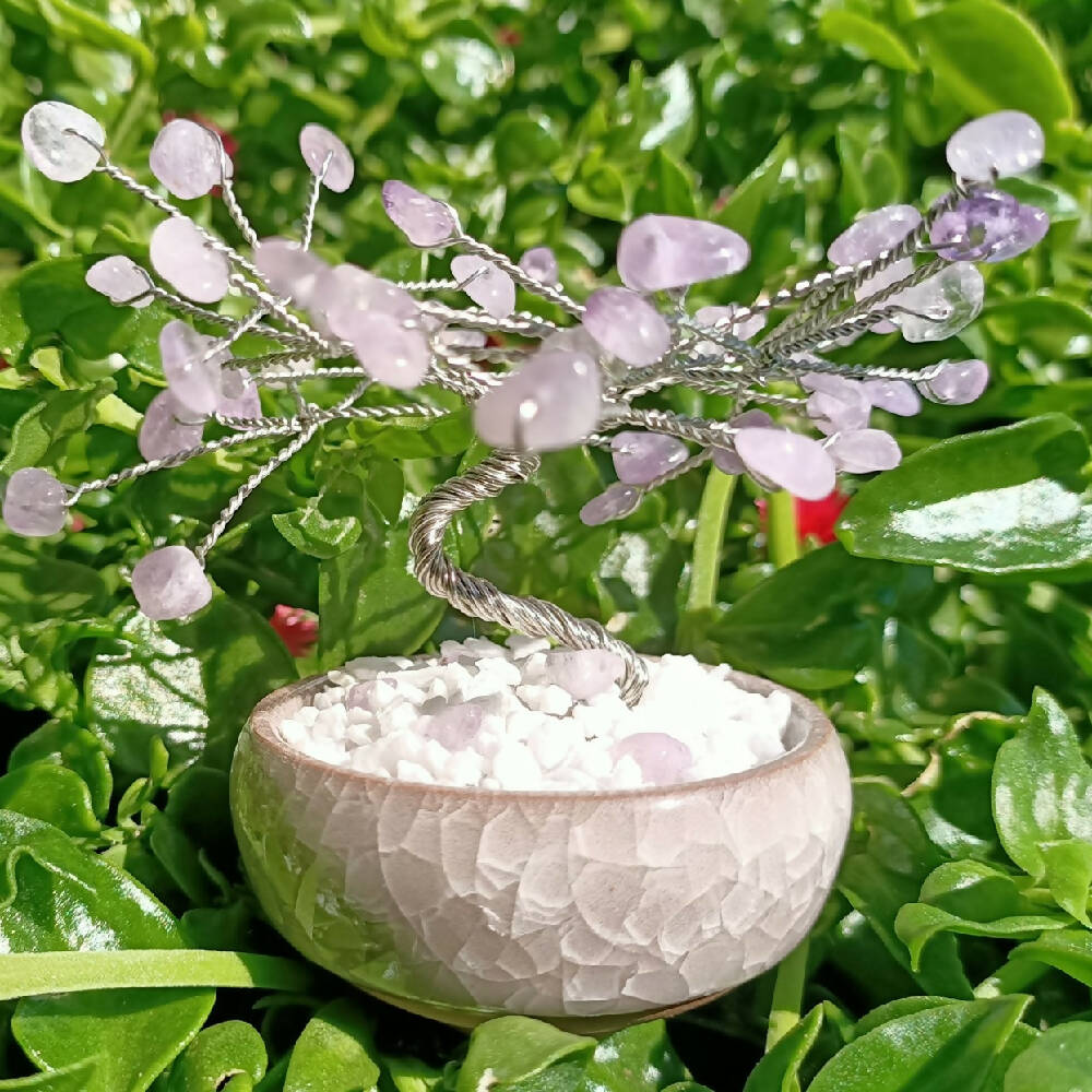 Picsart_23-08-28_13-25-32-935