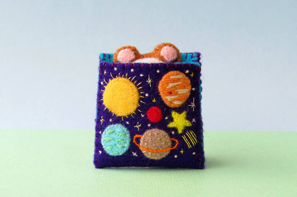 Teddy_space-5