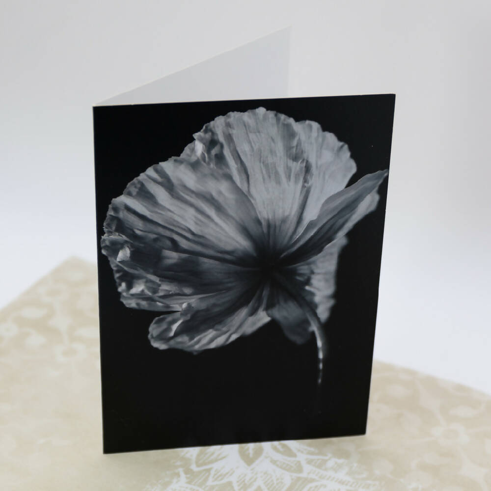 fine art greeting card - poppy flower