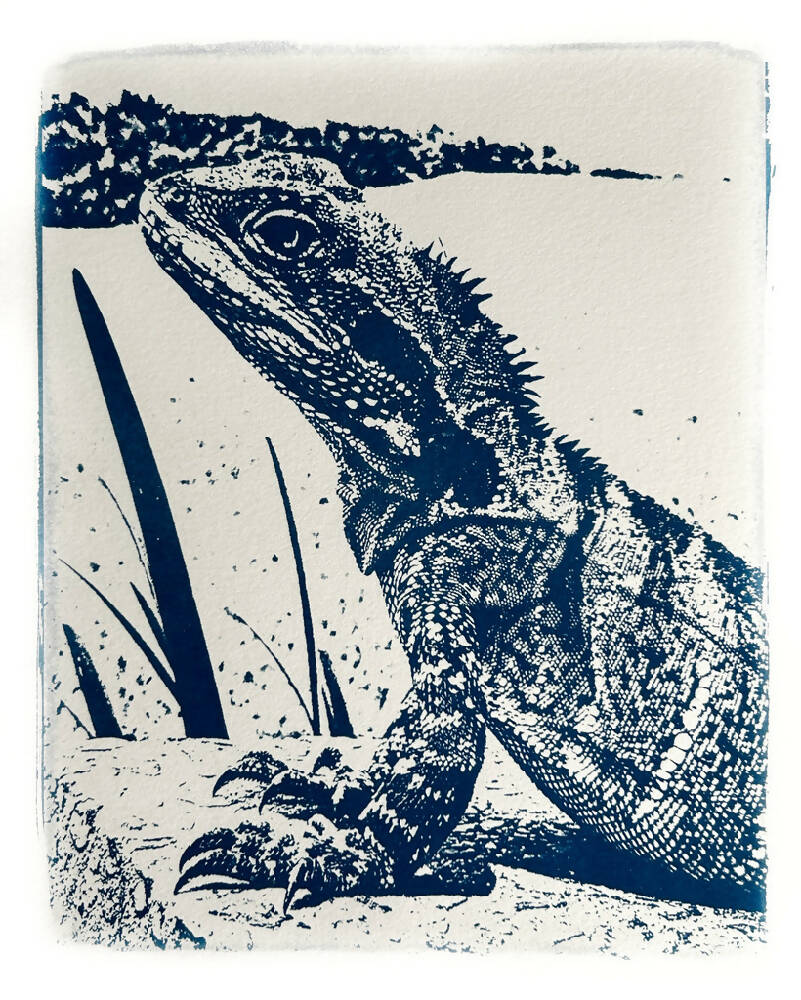 Water Dragon Art Print, Original Cyanotype, 8x10 inches, Lizard Picture,