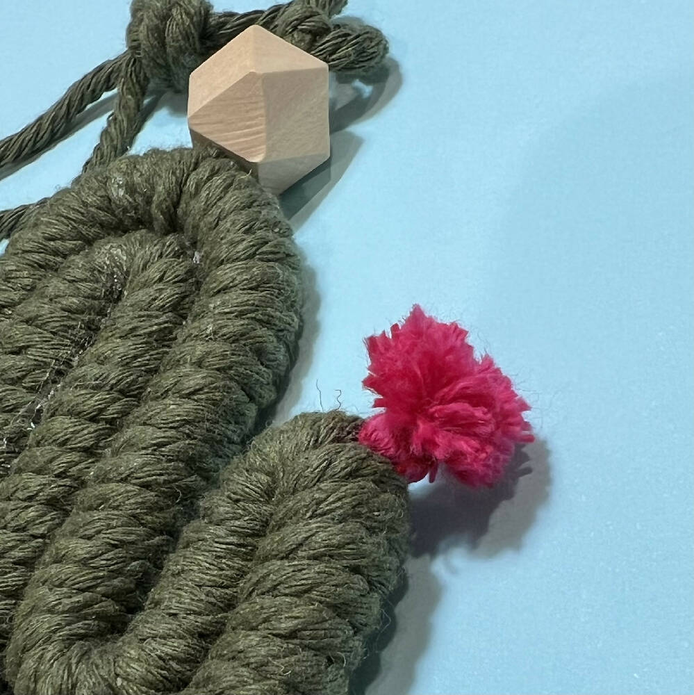 Macrame cactus - Kids Decor Gifts
