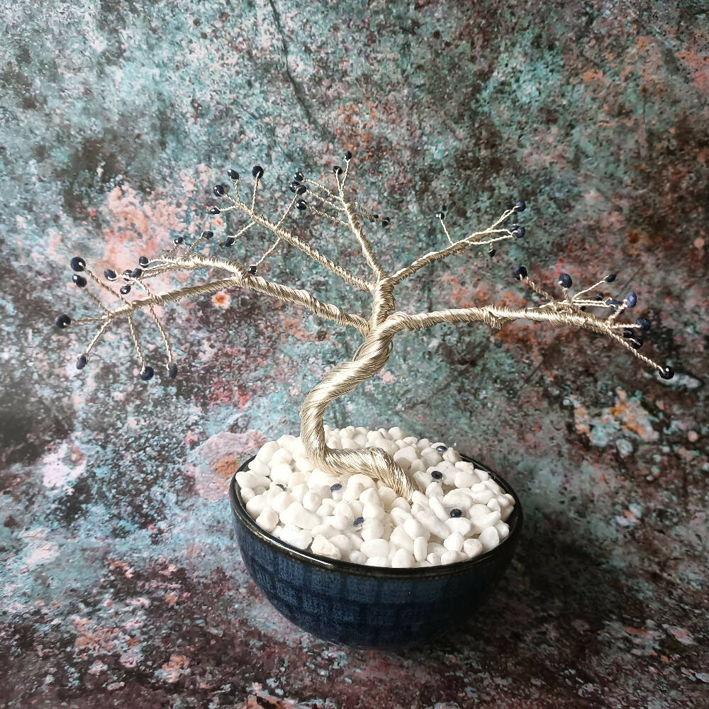 Picsart_23-08-24_10-08-01-993