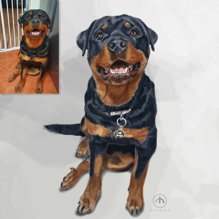 Custom Portrait | REALISTIC STYLE| Pet Portrait | Full-body | Vector Illustrations