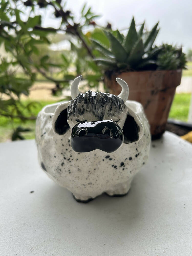 Cow Planter - Second