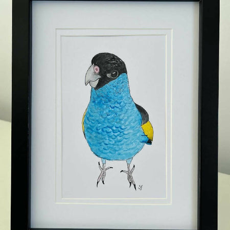 Hooded parrot frame