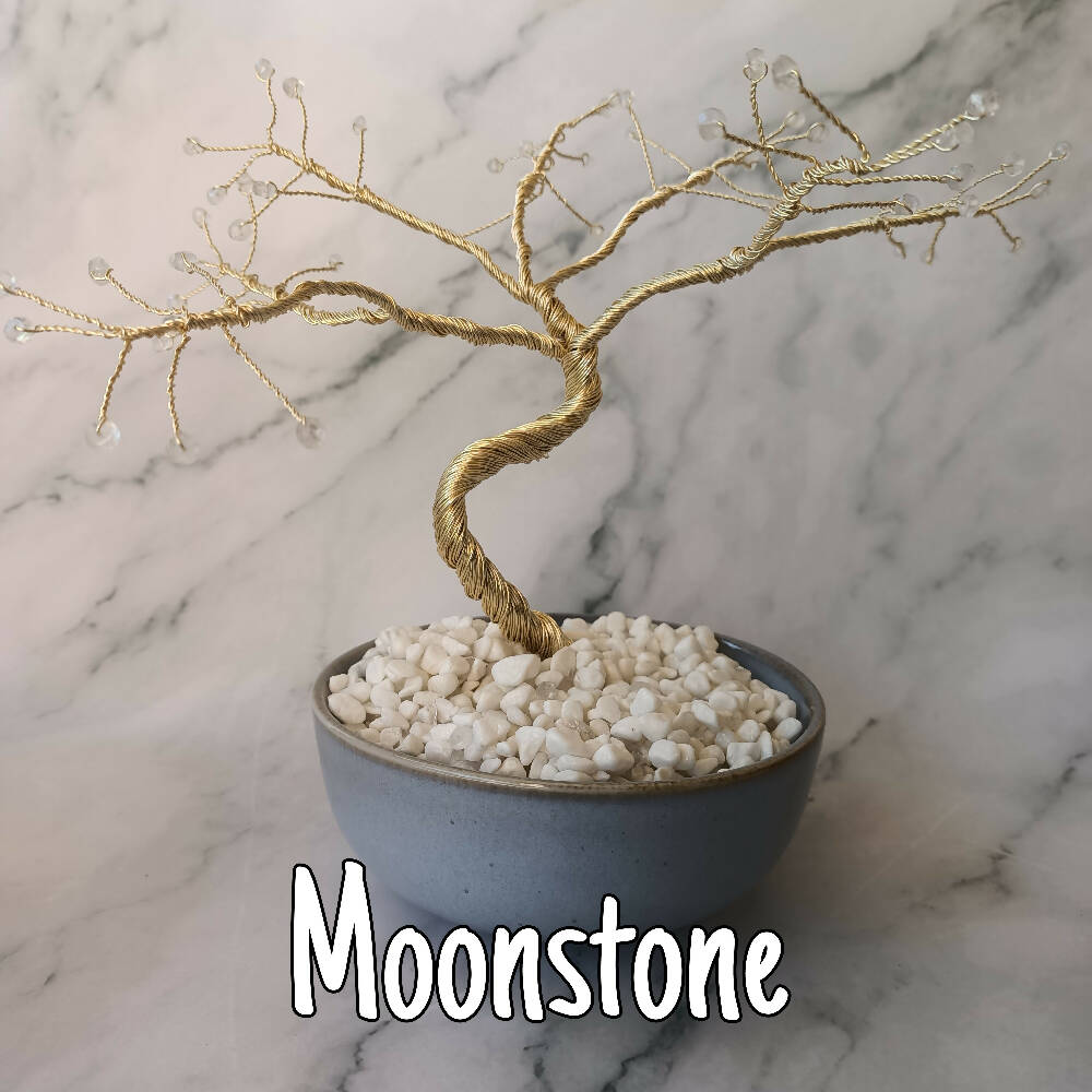 Moonstone Precious Specialty Gem Tree - 49 gems per tree