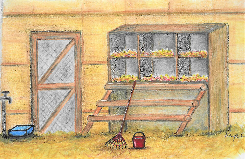 The 6 chickens - Copy