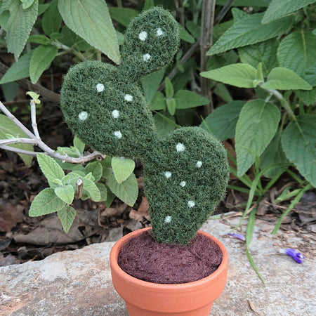 Needle Felted Succulent in Pot - Paddle Cactus / Prickly Pear