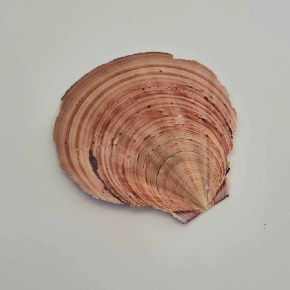 429120617_398537132788998_1680630804278420995_n