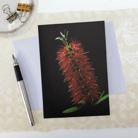 RED BOTTLE BRUSH FINE ART GREETING CARD - FLOWERS ARE HOTTER THAN FLAMES