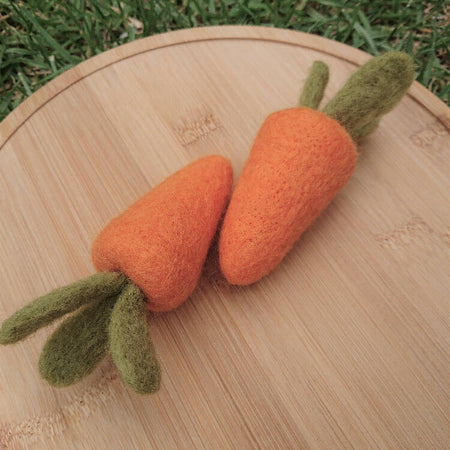 Wool Carrot Pair - Needle Felted Easter Decor / Photo Prop
