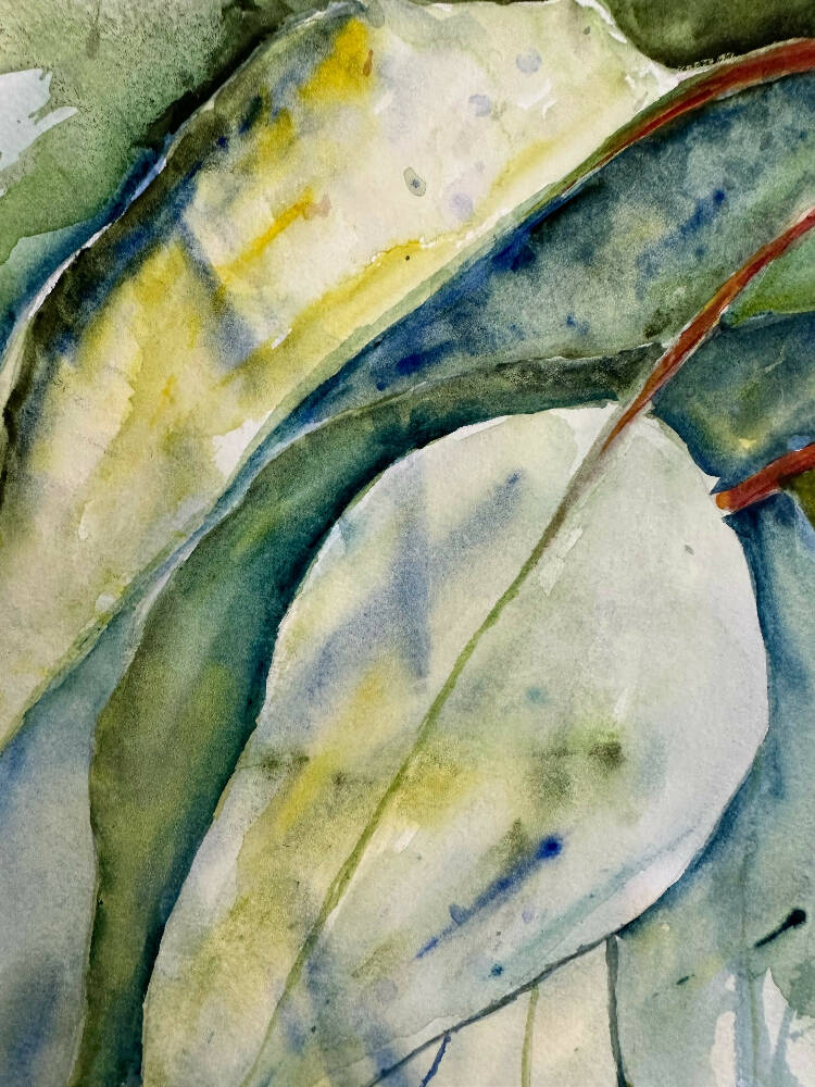 'Aussie Gum' watercolour original artwork