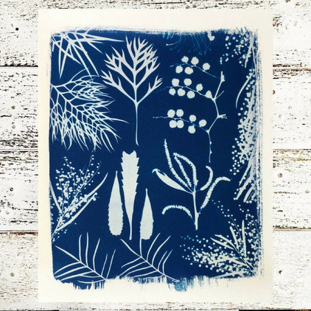 Native Flora Art Print, Original Cyanotype, 8x10 inches, Botanical Print