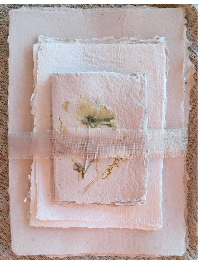 Plantable Seeded Place Cards - Bundle of 20 - Eco friendly