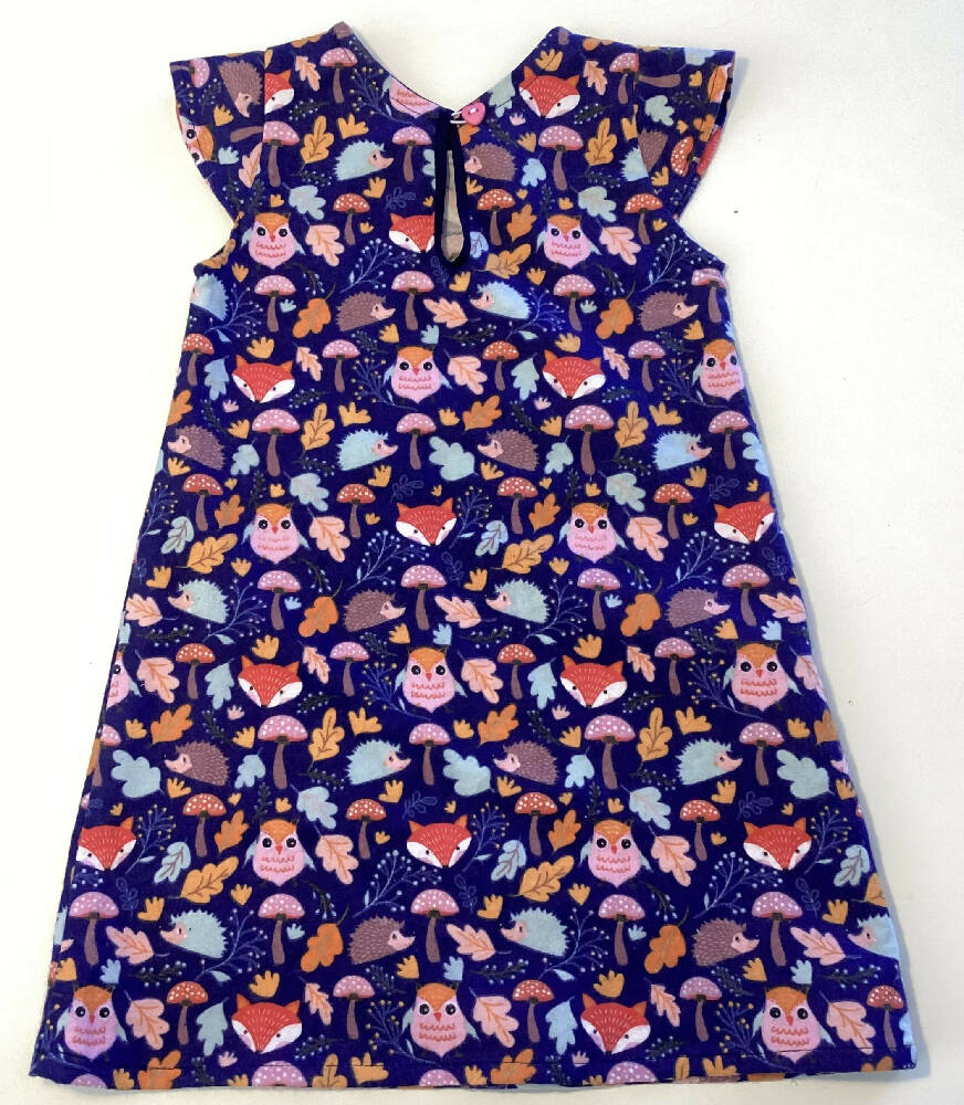 Girls A- line Dress with Cap Sleeves