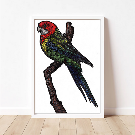 Australian Birds - Easter Rosella - Linoprint and Watercolour