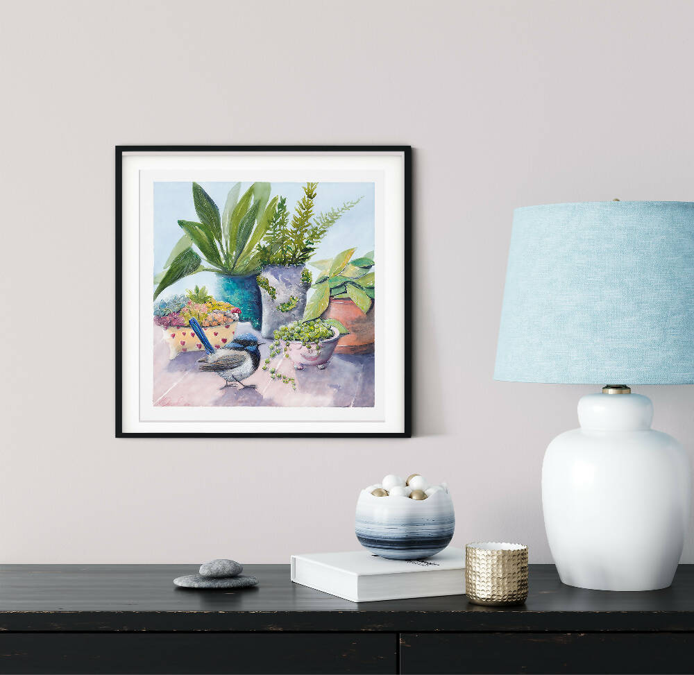 Superb Blue Wren and Pot Plants Fine Art Print by Ark Hill Studio