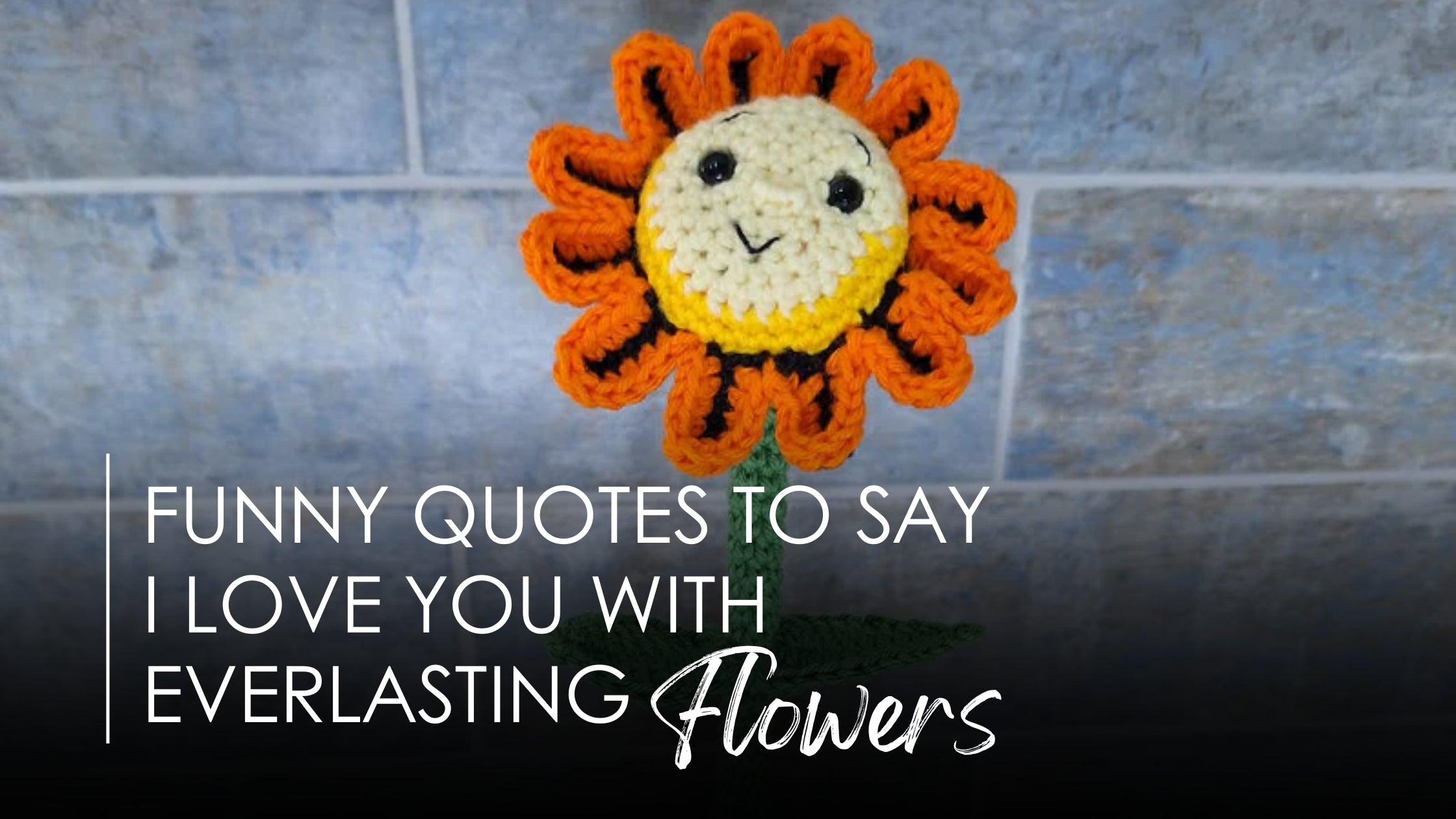Funny Quotes for Expressing Love with Everlasting Flowers