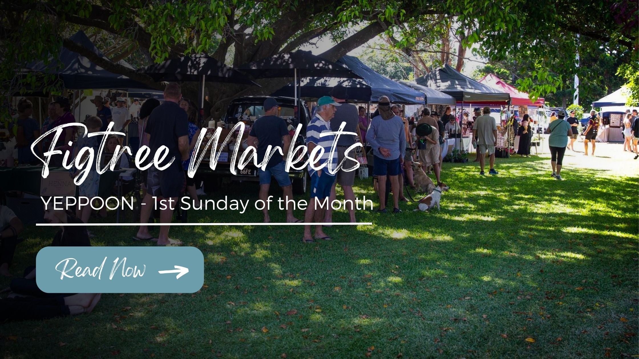 Exploring the Figtree Markets in Yeppoon, Queensland