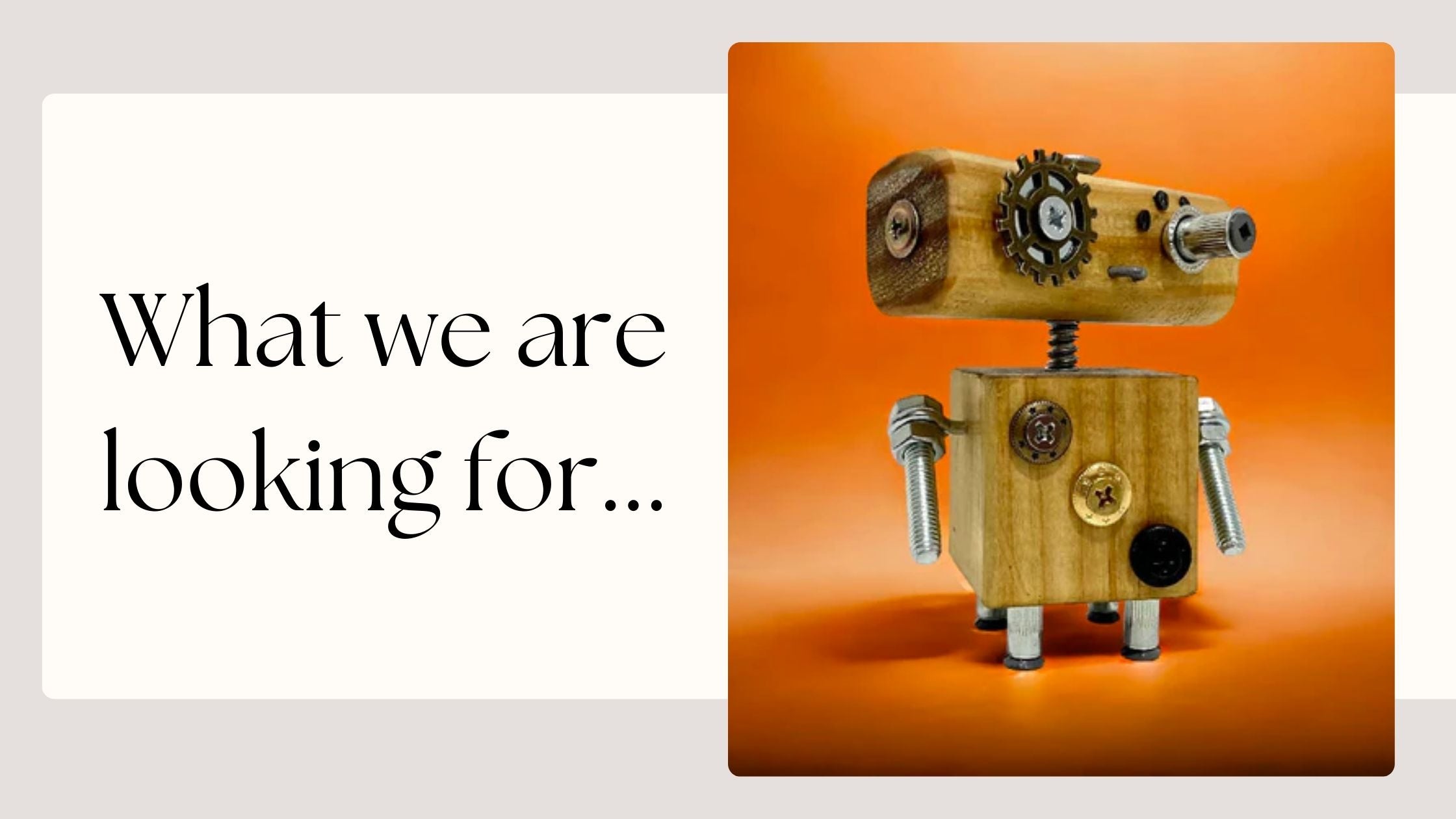 What we are looking for