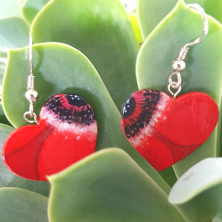 Red poppy hearts