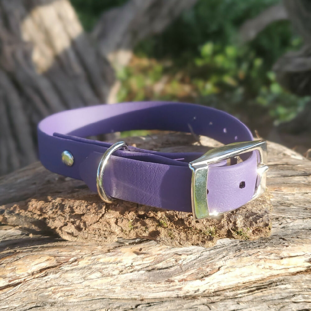 Waterproof dog collar - Dark Colours