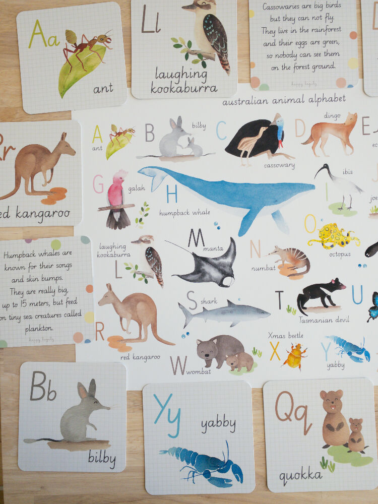 Educational Flashcards - Alphabet native australian animals@happylazuly5