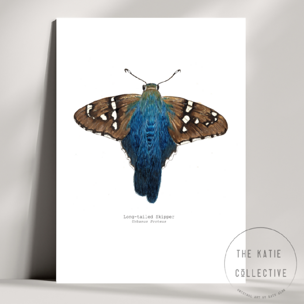 the katie collective - long tailed skipper