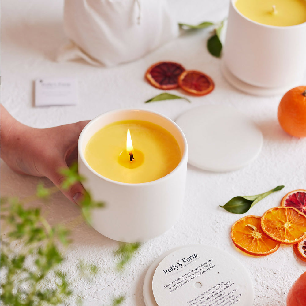 Pollys Farm Botanical Candle_Yuzu and Kumquat_White Jar_LCD-YZKQ-W_1